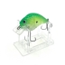 Green Shallow Diving Crankbait on stand